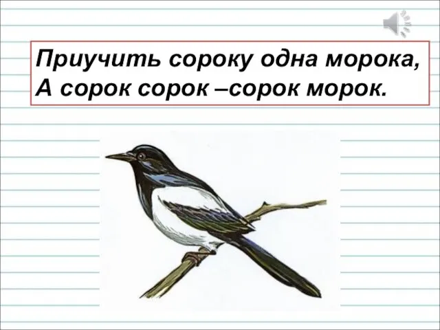 Приучить сороку одна морока, А сорок сорок –сорок морок.