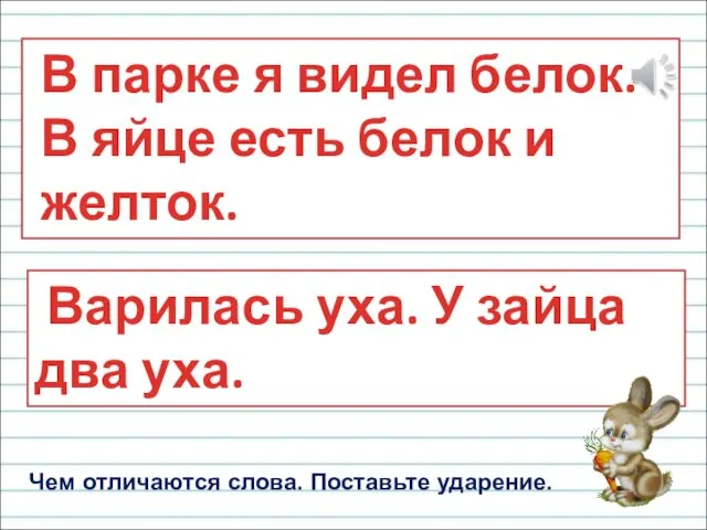 В парке я видел белок. В яйце есть белок и желток.