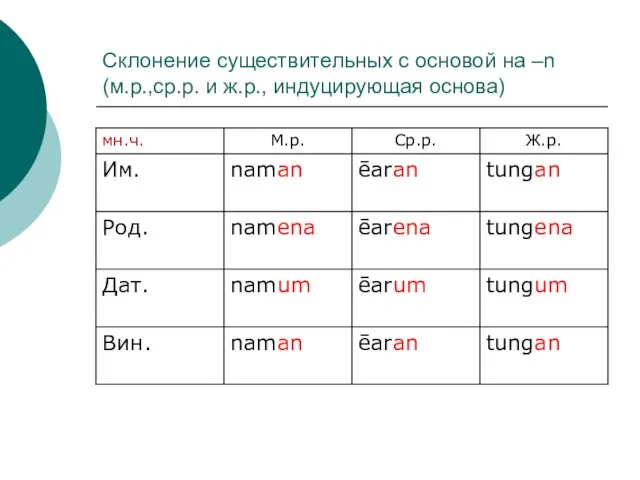 Склонение существительных с основой на –n (м.р.,ср.р. и ж.р., индуцирующая основа)