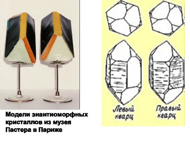 Модели энантиоморфных кристаллов из музея Пастера в Париже