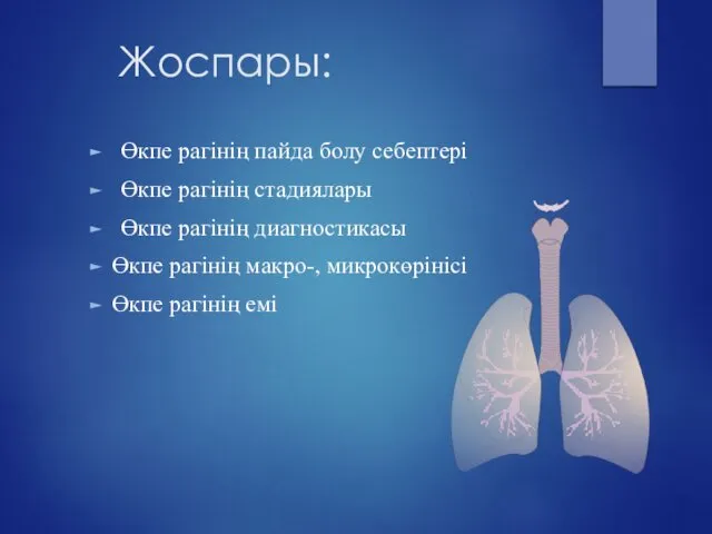 Жоспары: Өкпе рагінің пайда болу себептері Өкпе рагінің стадиялары Өкпе рагінің