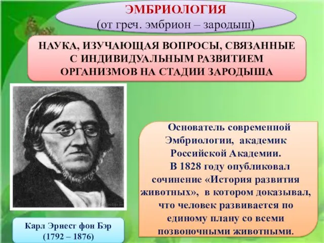 НАУКА, ИЗУЧАЮЩАЯ ВОПРОСЫ, СВЯЗАННЫЕ С ИНДИВИДУАЛЬНЫМ РАЗВИТИЕМ ОРГАНИЗМОВ НА СТАДИИ ЗАРОДЫША