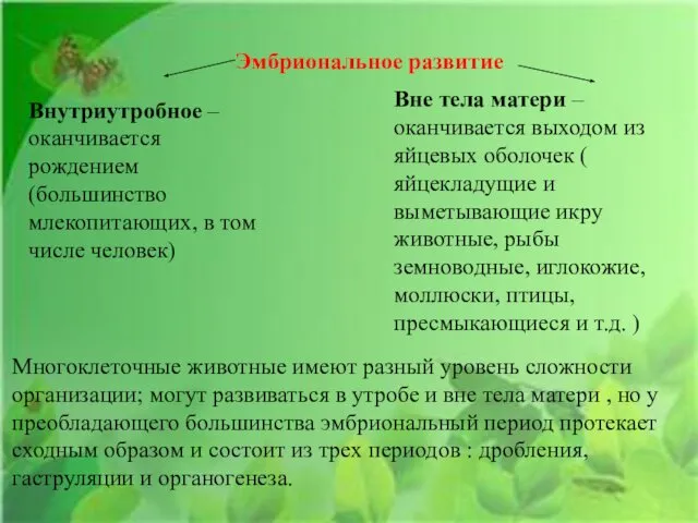 Эмбриональное развитие Внутриутробное – оканчивается рождением (большинство млекопитающих, в том числе