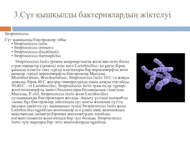 3.Сүт қышқылды бактериялардың жіктелуі Streptococcus. Сүт қышқылды бактериялар тобы: • Streptococcus