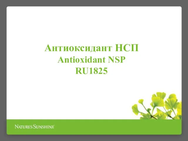 Антиоксидант НСП Antioxidant NSP RU1825