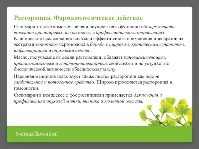 Силимарин также помогает печени осуществлять функцию обезвреживания токсинов при пищевых, алкогольных