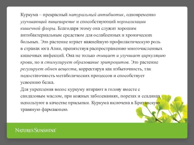 Куркума – прекрасный натуральный антибиотик, одновременно улучшающий пищеварение и способствующий нормализации