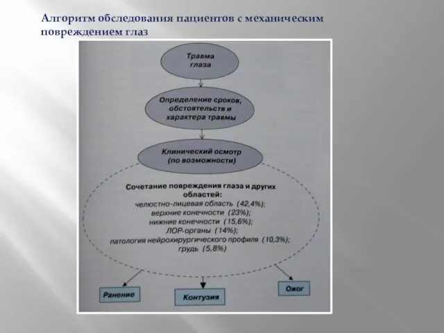 Алгоритм обследования пациентов с механическим повреждением глаз