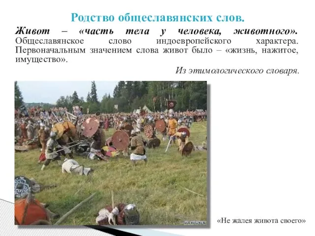 Родство общеславянских слов. Живот – «часть тела у человека, животного». Общеславянское