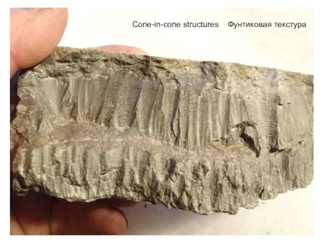 Cone-in-cone structures Фунтиковая текстура