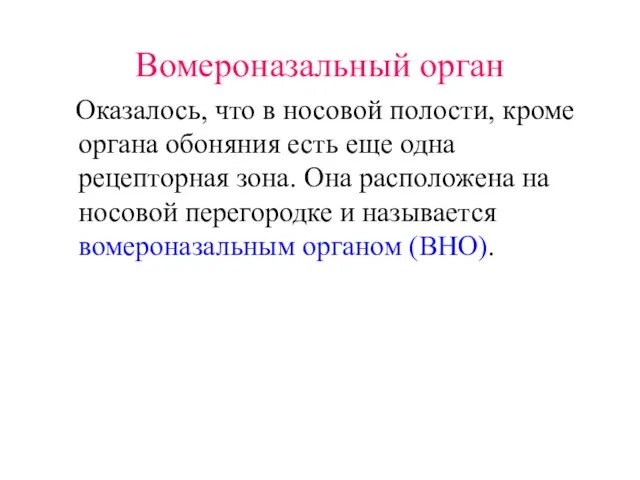 Вомероназальный орган Оказалось, что в носовой полости, кроме органа обоняния есть