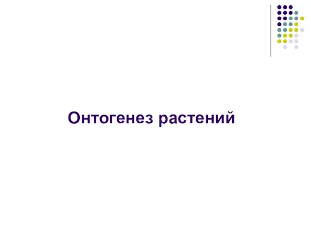 Онтогенез растений