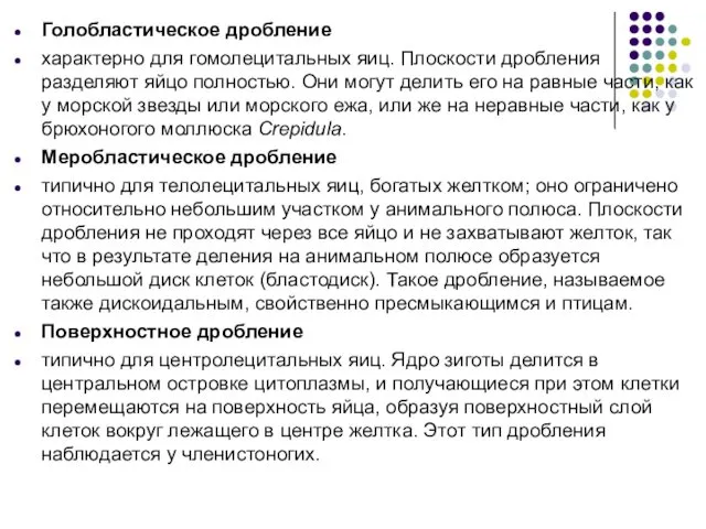 Голобластическое дробление характерно для гомолецитальных яиц. Плоскости дробления разделяют яйцо полностью.