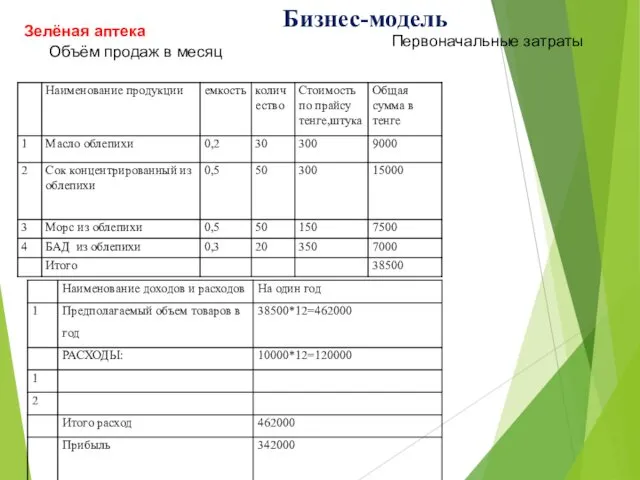 Бизнес-модель Зелёная аптека Объём продаж в месяц Первоначальные затраты