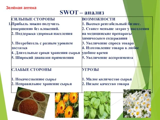 Зелёная аптека SWOT – анализ