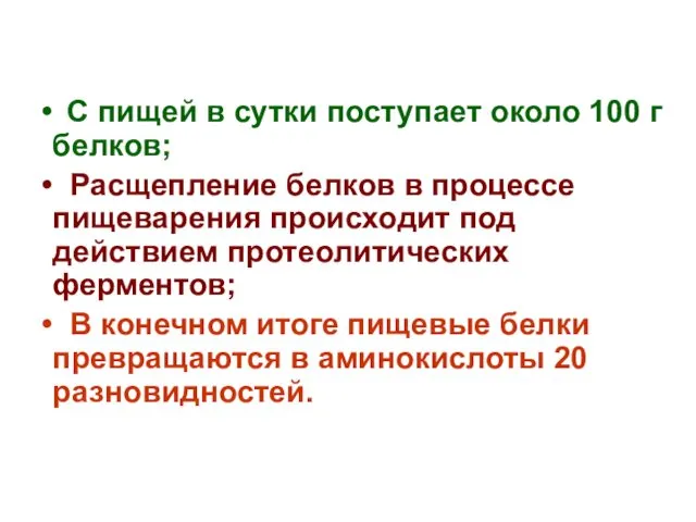 С пищей в сутки поступает около 100 г белков; Расщепление белков