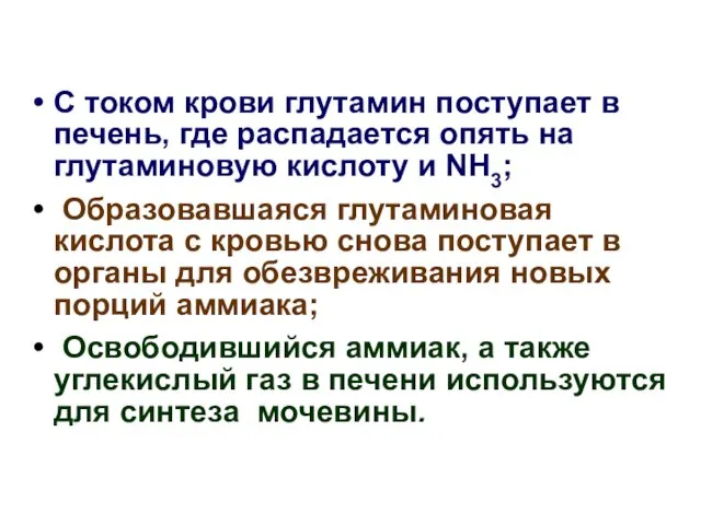 С током крови глутамин поступает в печень, где распадается опять на