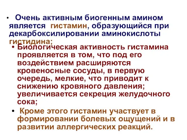 Очень активным биогенным амином является гистамин, образующийся при декарбоксилировании аминокислоты гистидина;