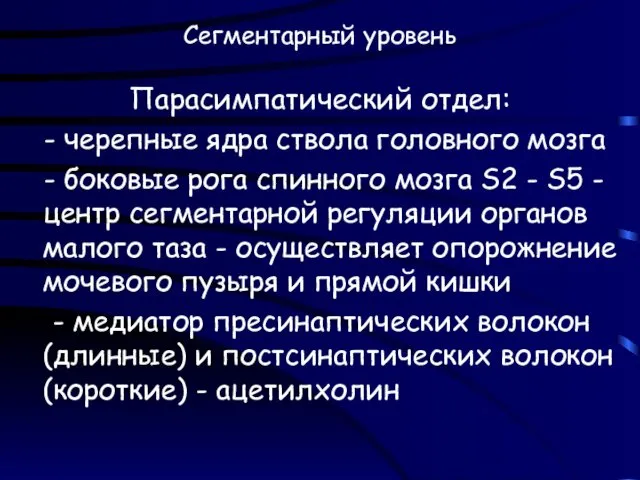 Сегментарный уровень Парасимпатический отдел: - черепные ядра ствола головного мозга -