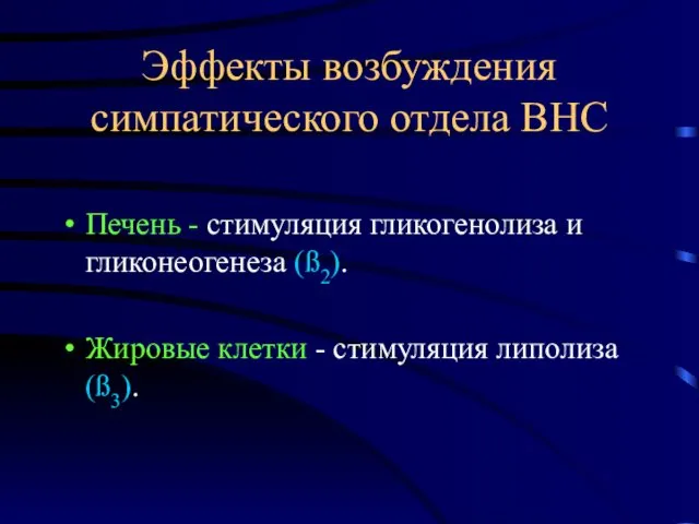 Эффекты возбуждения симпатического отдела ВНС Печень - стимуляция гликогенолиза и гликонеогенеза