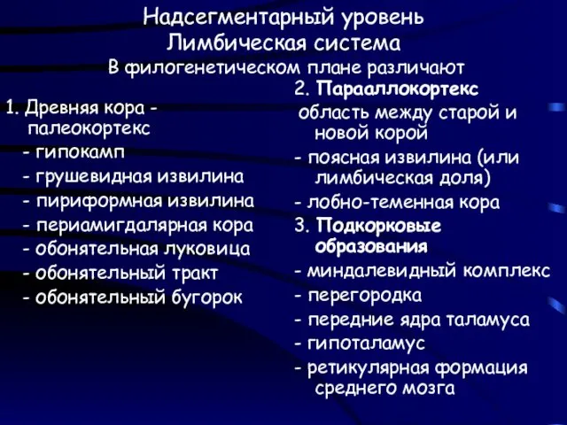 Надсегментарный уровень Лимбическая система В филогенетическом плане различают 1. Древняя кора