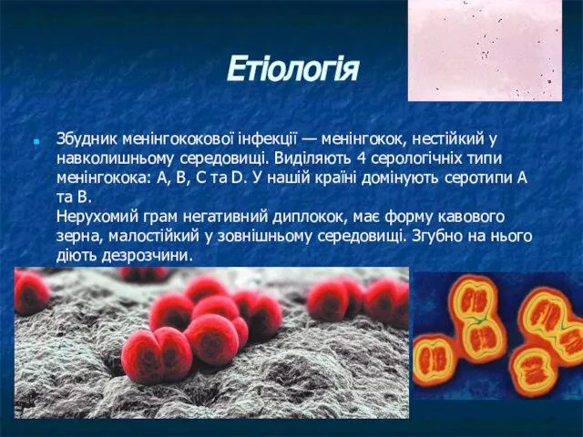 Етіологія Збудник менінгококової інфекції — менінгокок, нестійкий у навколишньому середовищі. Виділяють