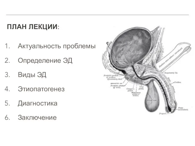 ПЛАН ЛЕКЦИИ: Актуальность проблемы Определение ЭД Виды ЭД Этиопатогенез Диагностика Заключение