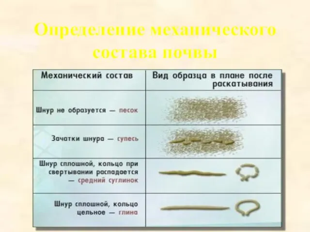 Определение механического состава почвы