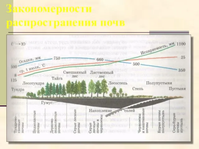 Закономерности распространения почв