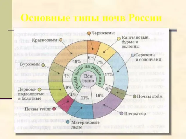 Основные типы почв России