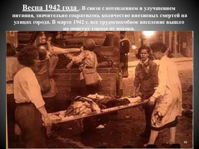 Весна 1942 года . В связи с потеплением и улучшением питания,