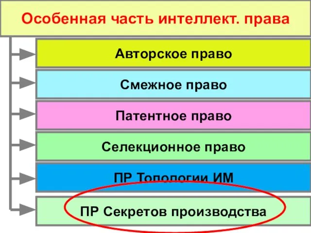 Особенная часть интеллект. права Смежное право Авторское право Патентное право Селекционное