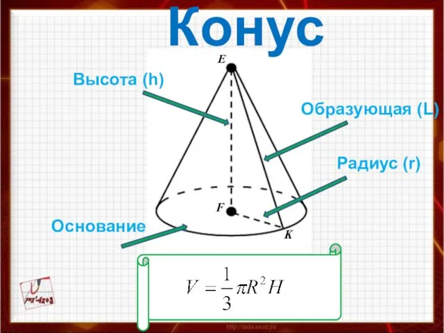 Конус Высота (h) Образующая (L) Основание Радиус (r)