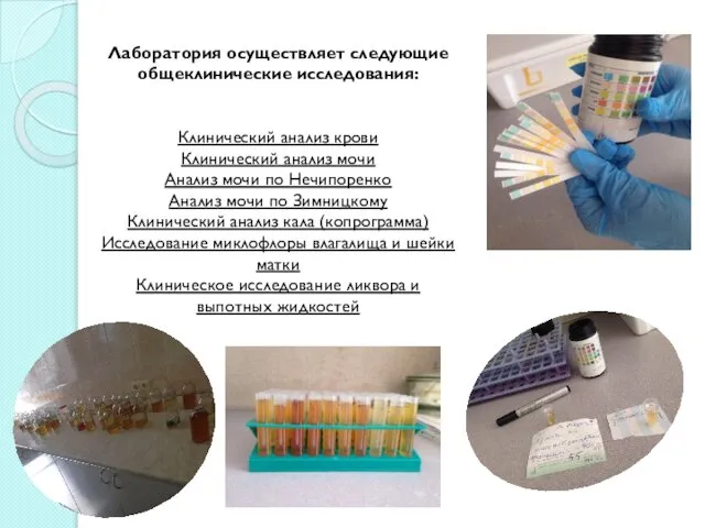 Лаборатория осуществляет следующие общеклинические исследования: Клинический анализ крови Клинический анализ мочи