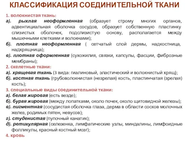 КЛАССИФИКАЦИЯ СОЕДИНИТЕЛЬНОЙ ТКАНИ 1. волокнистая ткань: а). рыхлая неоформленная (образует строму