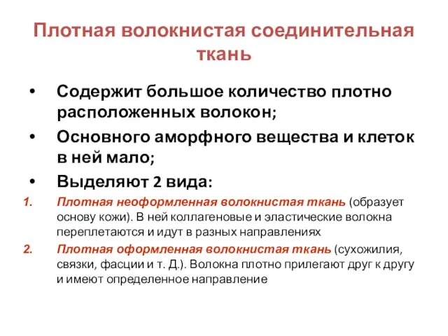 Плотная волокнистая соединительная ткань Содержит большое количество плотно расположенных волокон; Основного