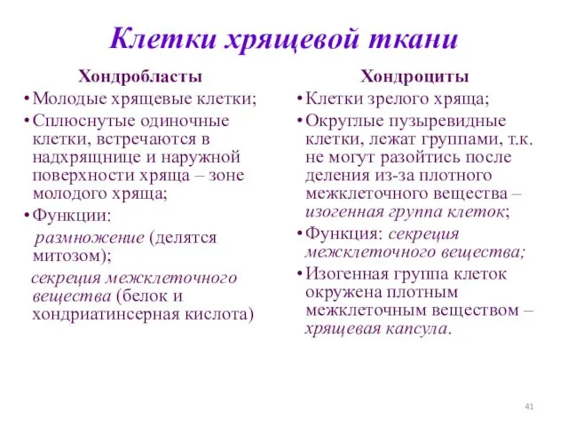 Клетки хрящевой ткани Хондробласты Молодые хрящевые клетки; Сплюснутые одиночные клетки, встречаются