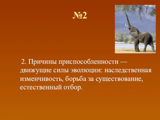 №2 2. Причины приспособленности — движущие силы эволюции: наследственная изменчивость, борьба за существование, естественный отбор.