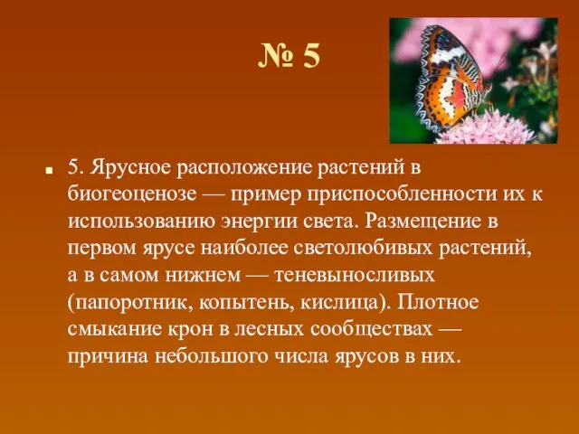 № 5 5. Ярусное расположение растений в биогеоценозе — пример приспособленности