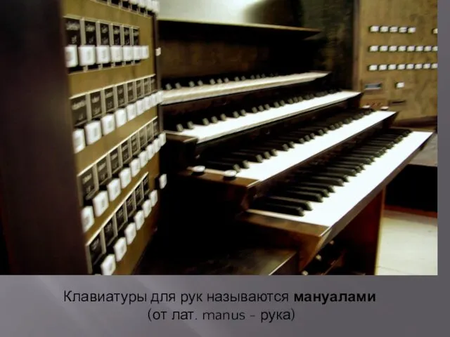 Клавиатуры для рук называются мануалами (от лат. manus - рука)
