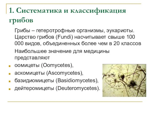 1. Систематика и классификация грибов Грибы – гетеротрофные организмы, эукариоты. Царство