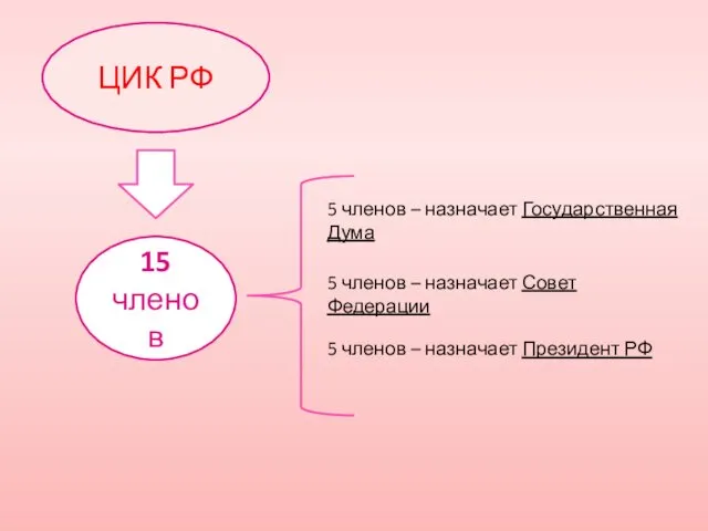 ЦИК РФ 15 членов 5 членов – назначает Государственная Дума 5