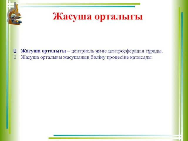 Жасуша орталығы Жасуша орталығы – центриоль және центросферадан тұрады. Жасуша орталығы жасушаның бөліну процесіне қатысады.