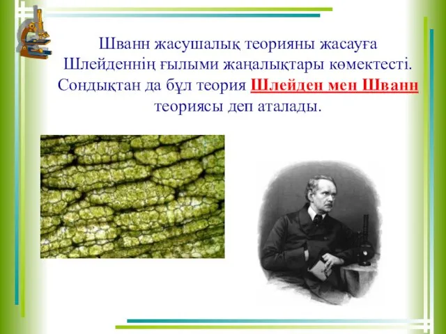 Шванн жасушалық теорияны жасауға Шлейденнің ғылыми жаңалықтары көмектесті. Сондықтан да бұл