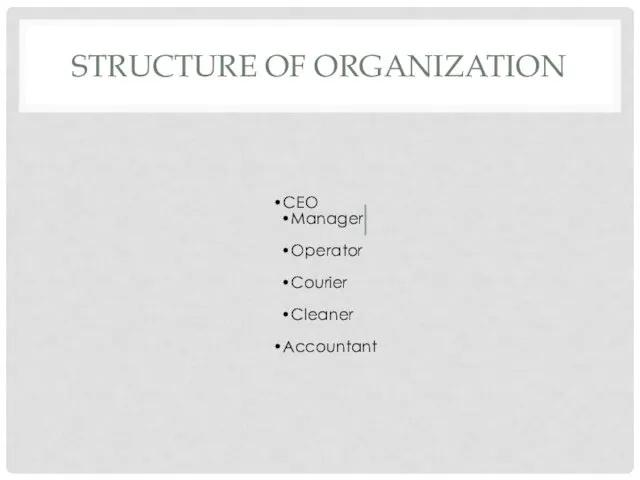 STRUCTURE OF ORGANIZATION CEO Manager Operator Courier Cleaner Accountant