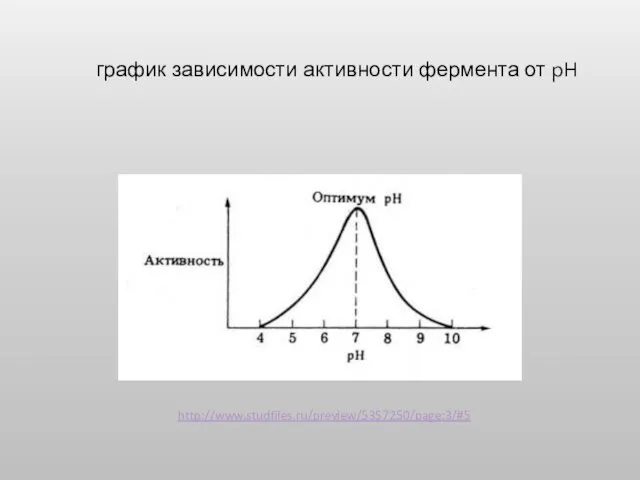 график зависимости активности фермента от pH http://www.studfiles.ru/preview/5357250/page:3/#5