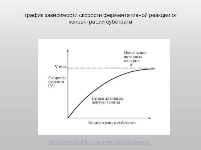 график зависимости скорости ферментативной реакции от концентрации субстрата http://www.studfiles.ru/preview/5357250/page:3/