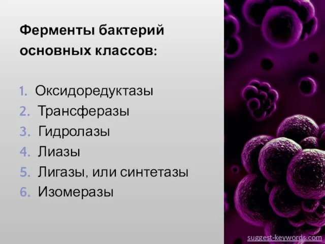 Ферменты бактерий основных классов: 1. Оксидоредуктазы 2. Трансферазы 3. Гидролазы 4.