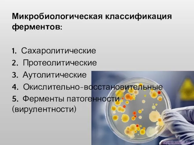 Микробиологическая классификация ферментов: 1. Сахаролитические 2. Протеолитические 3. Аутолитические 4. Окислительно-восстановительные 5. Ферменты патогенности (вирулентности) vse-o-vode.ru