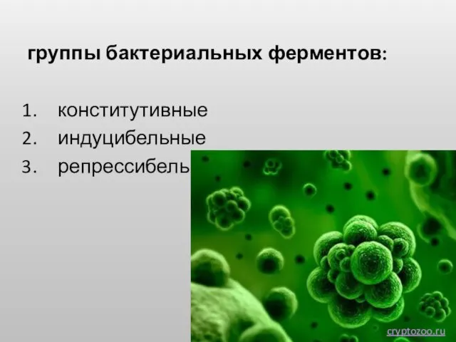 группы бактериальных ферментов: конститутивные индуцибельные репрессибельные cryptozoo.ru